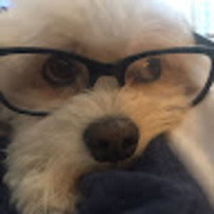 Meet your Posher, Betsy